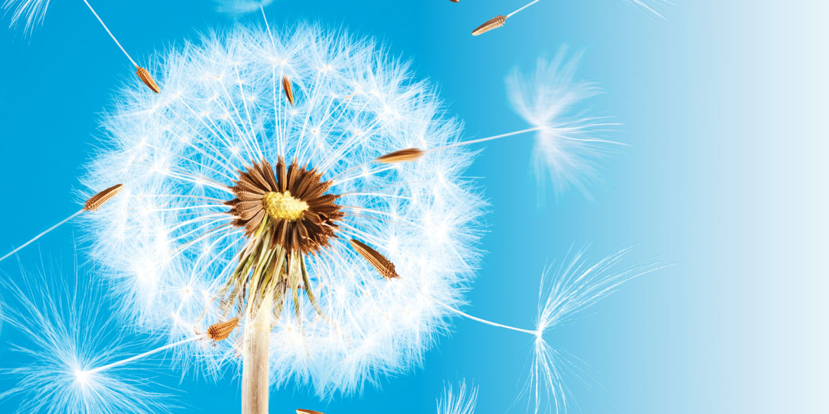 businessofficermagazine